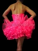 Hot Pink Gaga Corset And Matching Organza Satin Trimmed Tutu