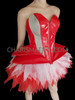 Silver Net Accented Red Gaga Corset And Matching Ruffle Skirt