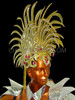 Gold Diva Drag Queen Silver Glitter Mohawk Headdress