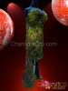 Diva's Strapless two-piece peacock feather gown with long back train