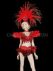 Red Drag Queen Samba Rio Carnival Feather Headdress Bra Costume Set