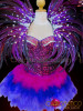 Fuchsia Sequined Corset, Matching Blue Feathered Skirt And Purple Collar
