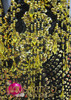 Black And Gold Beaded Deep V-Hem Dance Dress With Gold Sequins