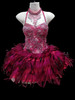 Fuchsia Beaded And Sequined Corset Styled Sissy Dress With Feather Skirt