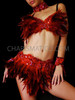 Sequin Applique Accented Multi-Shade Red Feather Bra And Skirt Set