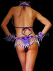 Purple Samba Brazilian Costume Set With Silver Bead Work And Fringe