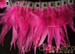 Diva's Hot Pink Feather Accented Silver Sequin Latin Dance Dress
