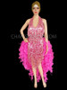 Pink Burlesque Sequin Fringe with Ruffle Tail Latin Salsa Dance Dress