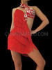 Red Fringe Latin Dance Dress with Rhinestone Floral Embroidery