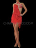 Red Fringe Latin Dance Dress with Rhinestone Floral Embroidery