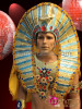 Complete Regal Bejeweled Golden Glitter Egyptian Pharaoh Men Costume Set