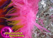 Silver Sequin Pink, Yellow, Purple, And Orange Layered Feather Dress