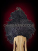 Black Feather Samba Backpack And Matching Headdress Set