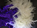 Rich Purple Sequin Halter-Style Dance Dress With White Feather Skirt