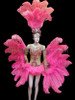 Bright Pink Ostrich Feather And Sheer Leotard Showgirl's Complete Costume Set