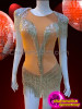 Silver Beaded Fringe Embellished Sequin Shouldered Nude Dance Leotard Dress