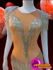 Silver Beaded Fringe Embellished Sequin Shouldered Nude Dance Leotard Dress