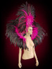 Classic Fuchsia And Black Feathered Headdress With Matching Backpack Collar