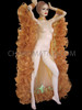 Showgirl's Metallic Iridescent Gold Organza Ruffle Boa Cabaret Wing Cape