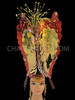 Butterfly Shaped Bright Gold And Red Colored Combination Headdress