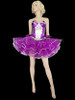Ballroom Strapless Silver and Purple Corset with Purple Layered Tutu