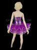 Ballroom Strapless Silver and Purple Corset with Purple Layered Tutu