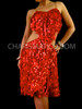 Hot Red Shiny Sequin Fringe Latin Salsa Dress