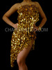 Sexy Gold Shiny Sequin Fringe Latin Dress