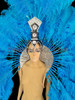 Blue Ostrich Feather Blue Headdress And Backpack