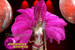 Fuchsia Feather Diva Show Girl  Backpack