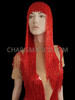 'Take Me Home"  Beaded Fringed Cher Diva Wig And Dress Set