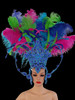 The Multicolored Jewel Ostrich Headdress And Backpack Set