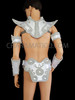 Guard Yourselves Up With This Outstanding Silver Costume Set