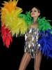 Rainbow Pride Leaf Inspired Ruffled Organza Boa