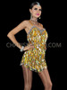 Delightful Diva Teardrop Sequin Latin Salsa Dance Dress