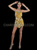 Delightful Diva Teardrop Sequin Latin Salsa Dance Dress