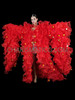 Red Oversized Marvelous 'Bat' Wing Drag Queen Organza Coat