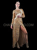 Elegant Nude Colored Sequin Mesh Gown with Embroidery Applique