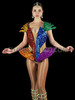 Rainbow LGBT Pride Crystallized Lady Gaga Inspired  Universe Corset