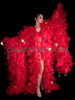Star-Studded Red Organza Coat with Dramatic Boa Sleeves