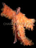 Mystic Iridescent Orange Ruffle Organza Layered  Drag Coat