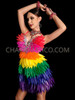 Rainbow Gay Pride LGBT Feather Crystallized Dress 