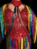 Spectacular "Cher Dress to Kill" Rainbow Showstopper Dress