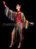 Spectacular "Cher Dress to Kill" Rainbow Showstopper Dress