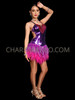 Bejeweled Purple Fuchsia Sequin Latin Salsa Feather Dress 