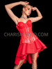 Scarlet Red Vinyl Corset with Flowy Skirt
