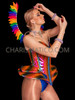 Pride Parade Spectacle Rainbow Corset and Feather Wing Set