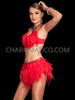Fiery Red Samba Dancer's Feather Bra and Skirt Set