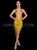Gold Elegance Cher-Inspired 'Take Me Home' Beaded Dress