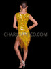 Gold Elegance Cher-Inspired 'Take Me Home' Beaded Dress